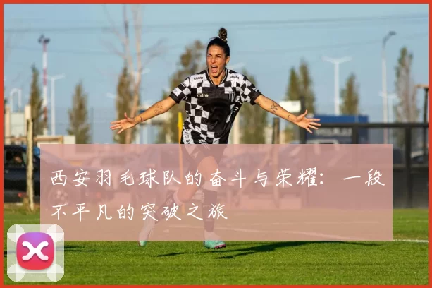 西安羽毛球队的奋斗与荣耀：一段不平凡的突破之旅