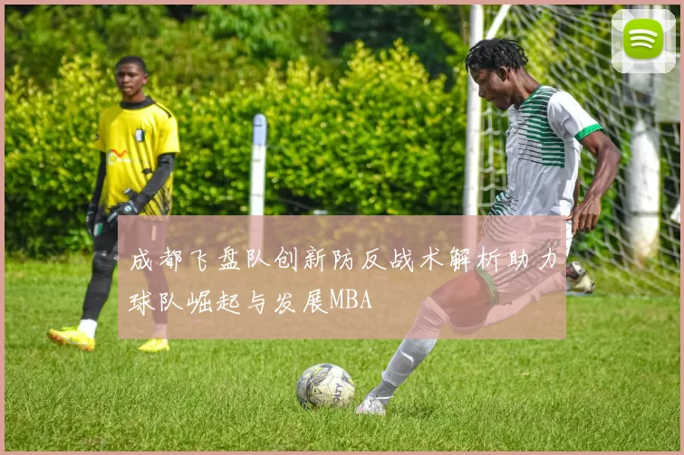 成都飞盘队创新防反战术解析助力球队崛起与发展MBA