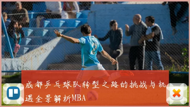 成都乒乓球队转型之路的挑战与机遇全景解析MBA