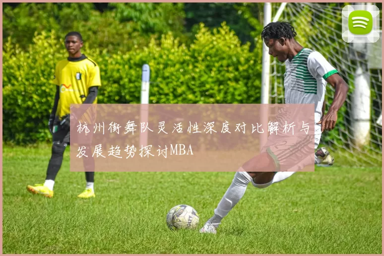 杭州街舞队灵活性深度对比解析与发展趋势探讨MBA