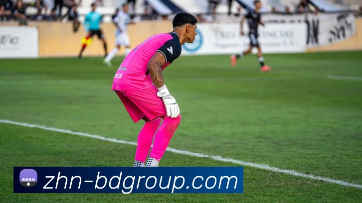 App Interface Preview