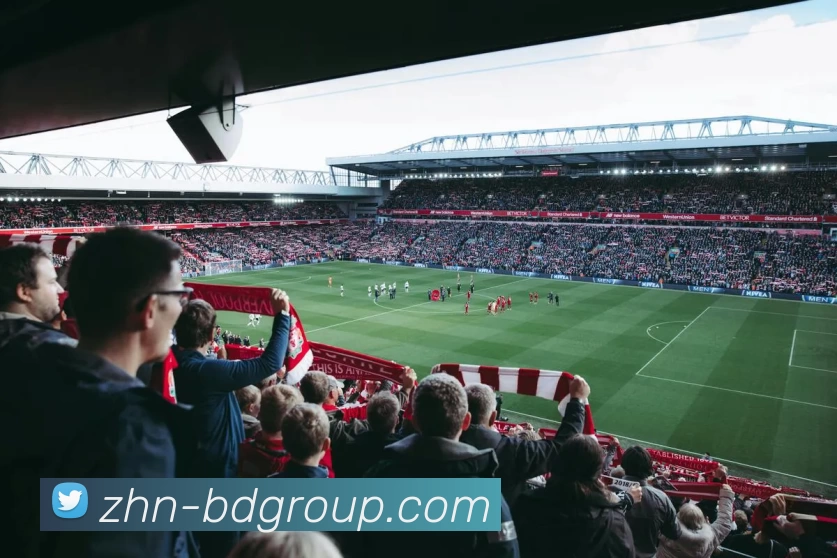 DB真人APP 封面图