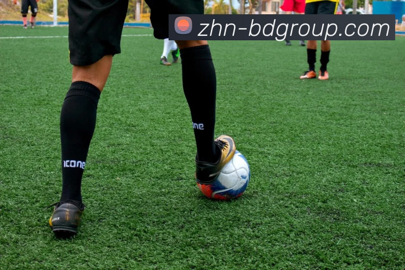 DB真人APP 封面图